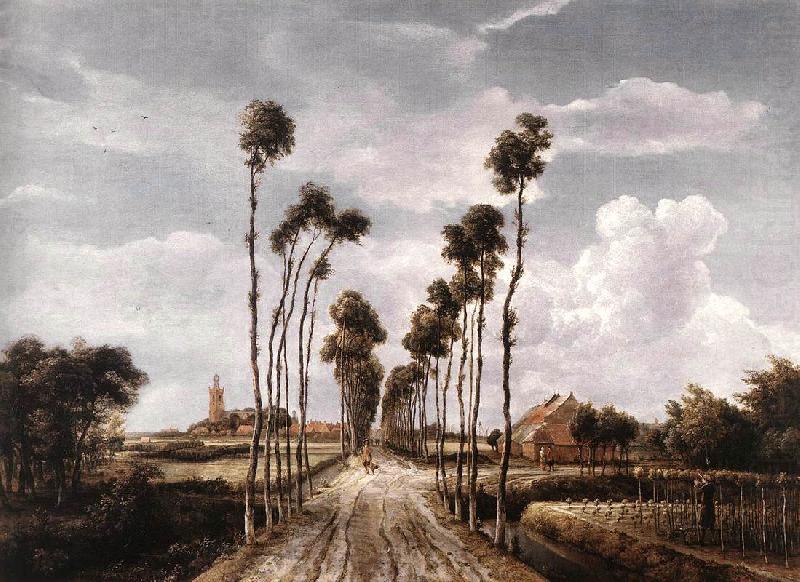 HOBBEMA, Meyndert The Alley at Middelharnis g china oil painting image